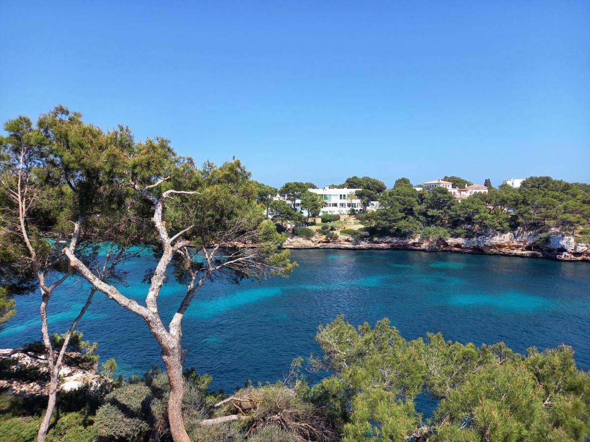 Apartment Ferrera Park Vue Cala Ferrera (Mallorca)