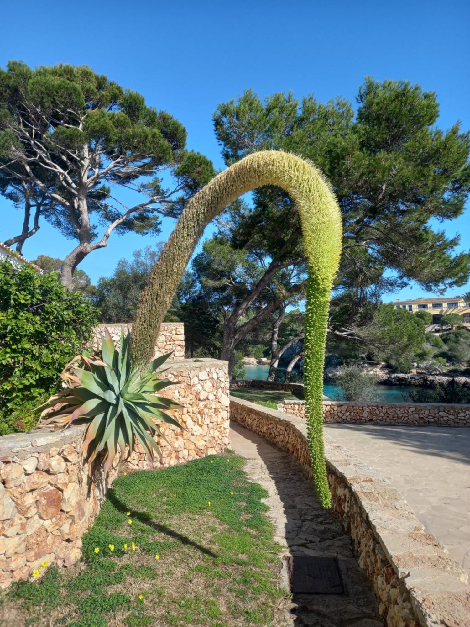 Ferrera Park Vue